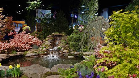 2017年「波士頓春季花卉園藝展」展出的獲獎園藝佳作。（貝拉/大紀元） 