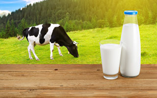 豆奶、杏仁奶非“奶” 奶农要求规范标注“奶”字