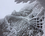 玉山步道雾淞凝结 玉管处提醒注意湿滑