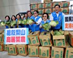 高丽菜价低迷    蓝控产销失衡认购300箱