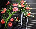 為花博登場前暖身  科博館火鶴花特展
