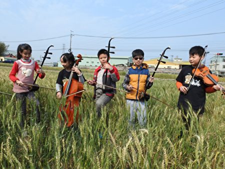 台中市光复国小音乐班学生在小麦田中演奏，为麦田增添一分风雅氛围。（赖瑞／大纪元）