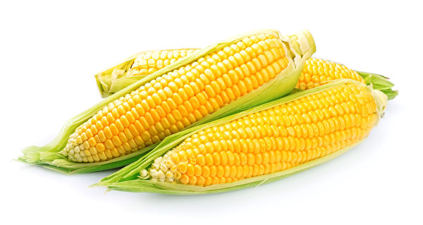 黄色玉米所含之葫萝卜素（即维生素A之促成者）很高。(Fotolia)