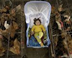 H7N9在中国突然扩散 美国疾控中心担忧