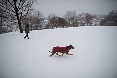 PHILADELPHIA, PA - March 14: Joel Gyimesi, 32, walks his dog "Philly" through Gorgas Park in the snow March 14, 2017 in Philadelphia, Pennsylvania. Winter storm Stella is predicted to affect up to eight states in the Northeast region. (Mark Makela/Getty Images)