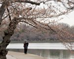 春天来了！关于春分你需要知道的8件事