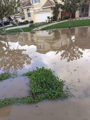 洪水淹沒住家前的草地，硅谷保險經紀呼籲購買洪水險。（讀者提供）