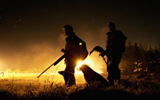 維州獵鴨季開幕 數名狩獵者違規遭控