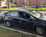 舊金山警方稱砸車窗盜竊案略降 無助安全感