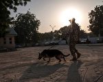 尼日利亚东北部一个村庄的村民举行婚礼，一名炸弹袭击者混入。不过一条狗跳到她身上，引爆了爆炸带。图为尼日利亚士兵与嗅探犬在巡逻。（AFP PHOTO / STEFAN HEUNIS）
