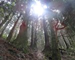狱中吟（三首）