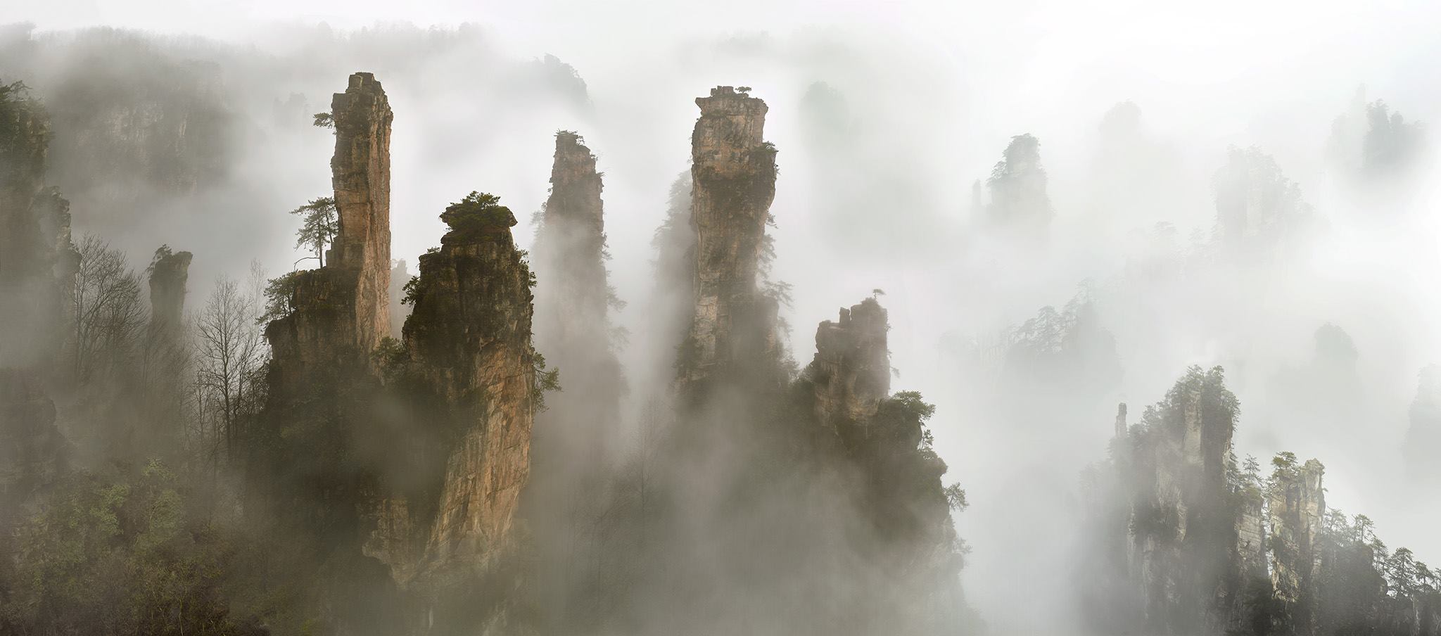 黄东明作品《云山烟树》—100x227 > 120x247cm(黄东明提供)