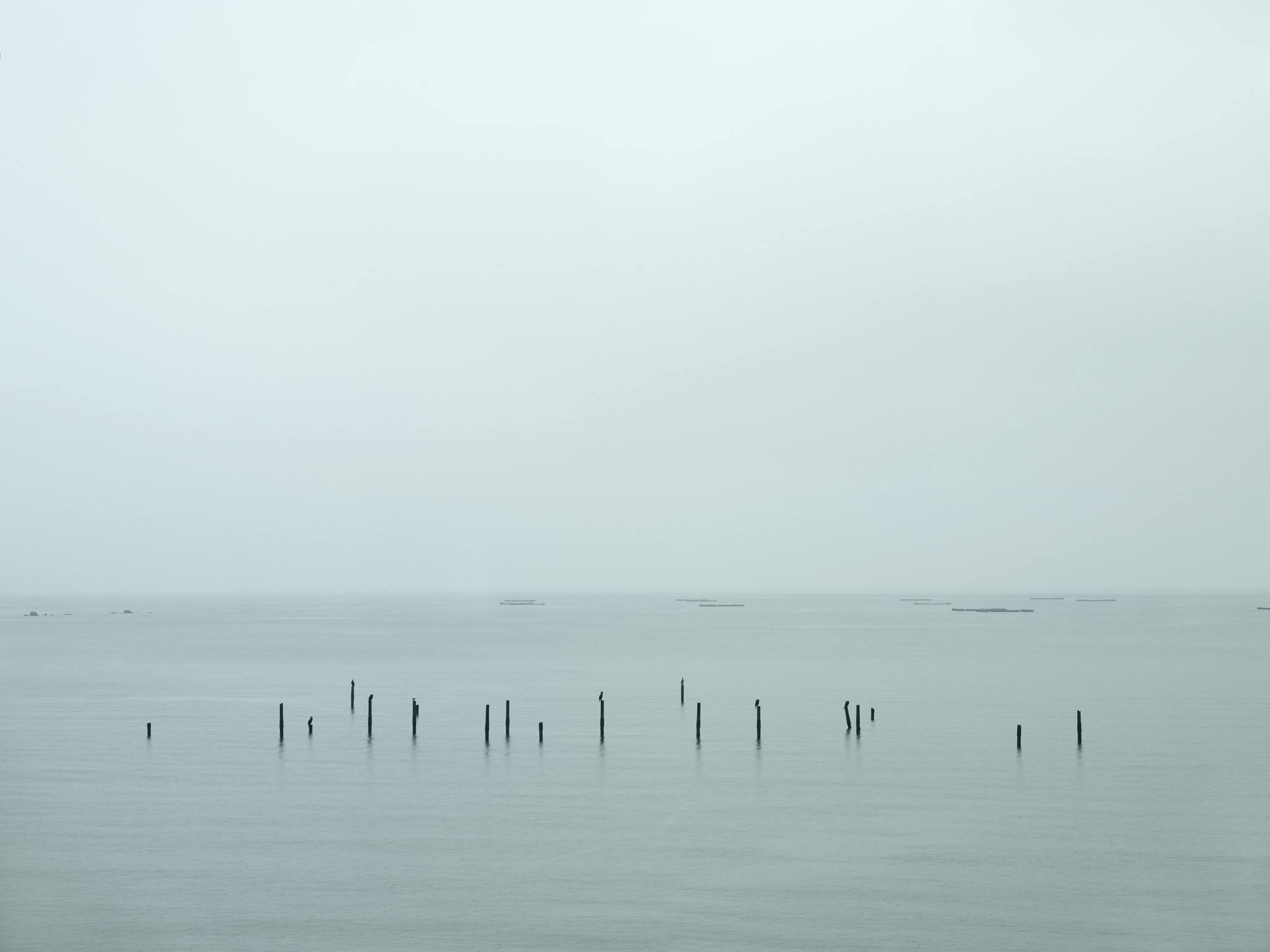 黄东明作品《春江归雁》—93x124 > 109x140cm(黄东明提供)