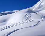 滑雪季尚有月余 澳洲新州雪山已白雪皚皚