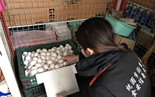 蛋品戴奥辛超标 桃园回收逾1公吨