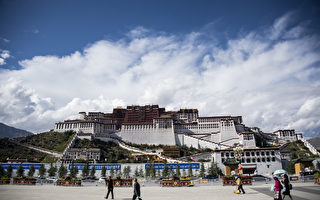 台疾管署︰陆H7N9创五年最严重 西藏爆首例
