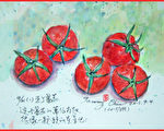 彩繪生活（318）家常味牛番茄和大白菜