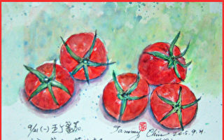 彩绘生活（318）家常味牛番茄和大白菜