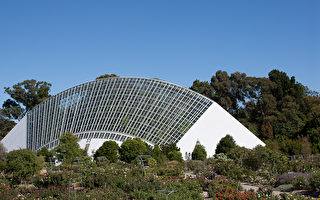 全球最佳植物园评选：澳洲三园跻身前二十