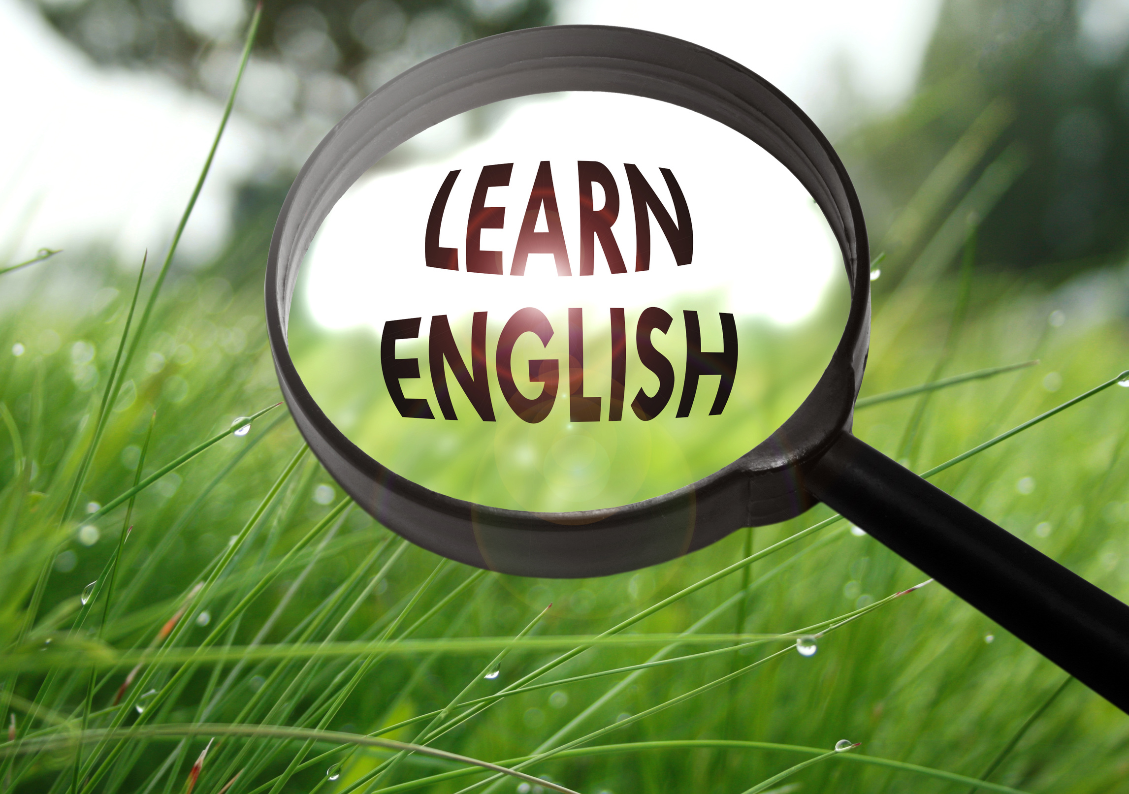 澳洲雇FBI前特工查英语考试作弊打击签证欺诈| 澳洲留学移民| 大纪元