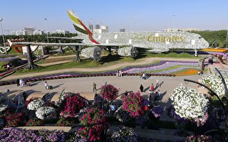 全球最大花园在中东沙漠 想不到吧？