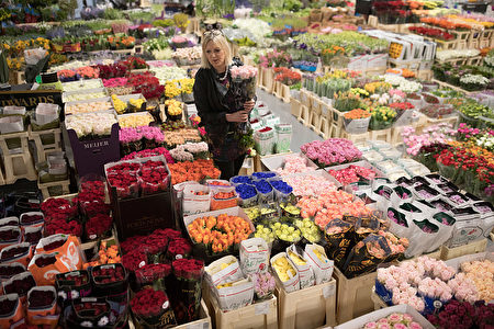 LONDON, ENGLAND - APRIL 03: A customer selects flowers inside the New Covent Garden Market on April 3, 2017 in London, England. The New Covent Garden Flower Market in Nine Elms opened it's doors this morning after moving from it's previous site, also in Nine Elms where it had been since 1974. (Photo by Dan Kitwood/Getty Images)