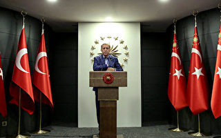 周日（4月16日），土耳其总统埃尔多安宣布在历史性修宪公投中获胜。(Photo by Stringer/Getty Images)