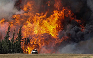 氣象學家預言今夏發生火災風險高
