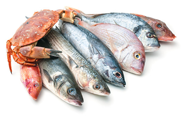 鱼类营养，但有些种类含毒素较多。哪些鱼类健康，哪些鱼类应尽量少吃？