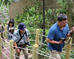 夏日趣遊 桃園大古山輕旅行／A10山鼻站一日遊