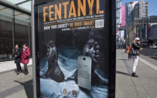 图：2017年4月11日，温哥华市中心反对过量使用芬太尼的海报。（加通社）