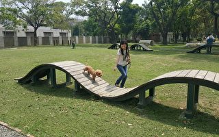 高雄中正路寵物公園，飼主與毛小孩開心玩波浪板。（高市養工處提供）