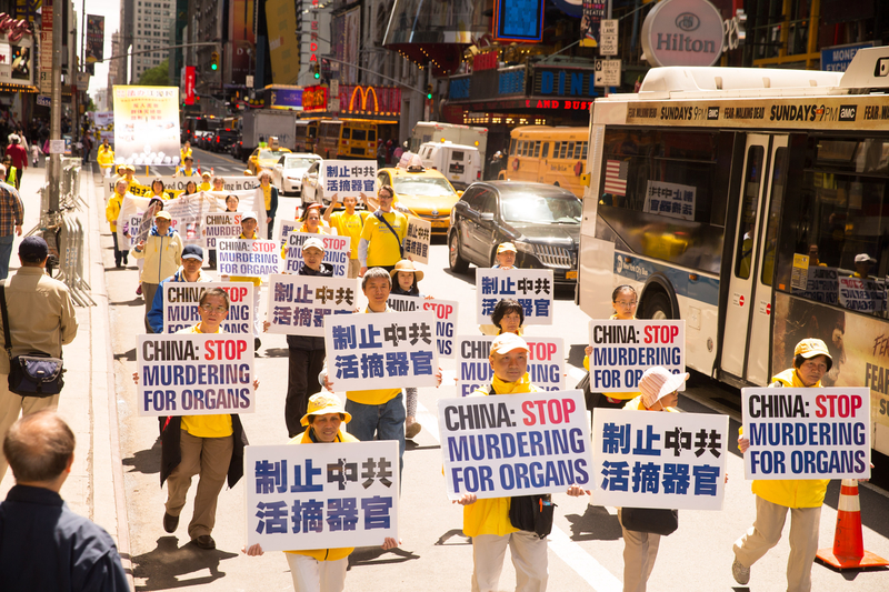 2017年5月12日,紐約萬人慶祝法輪大法日,並呼籲制止中共迫害法輪功,大遊行隊伍橫穿曼哈頓。圖為「制止中共活摘器官」的展板。(戴兵/大紀元)