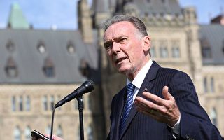 加拿大议员呼吁政府营救本国公民