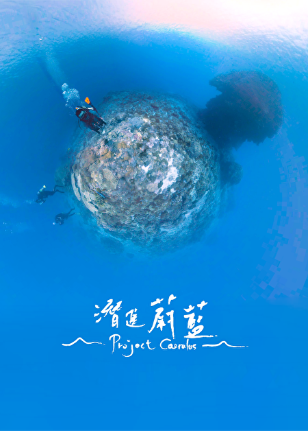 潛進蔚藍記錄下 2016年 9月莫蘭蒂颱風襲擊前綠島大香菇的完整面貌。（潛進蔚藍提供）