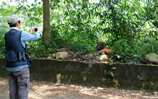 監測二水獼猴族群 林務局招募生態調查員