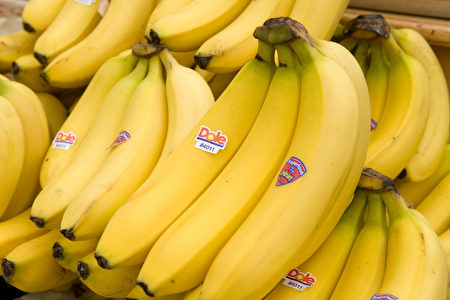 近年来香蕉进入产季就面临价格崩盘，民进党立委林岱桦25日召开记者会表示，台农发没协助调节供需还大辟农地种香蕉，恐价格产生冲击。／AFP