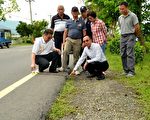 196線汽機爭道車禍多 鄉民亟盼拓寬