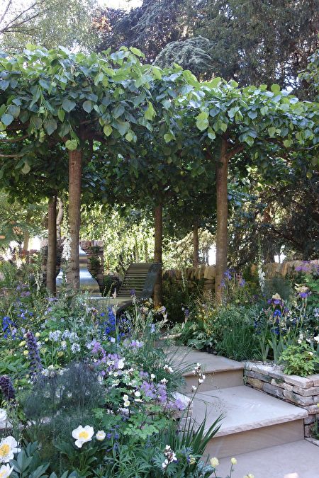 Chris Beardshaw 設計的摩根士丹利花園（康妮/大紀元） 