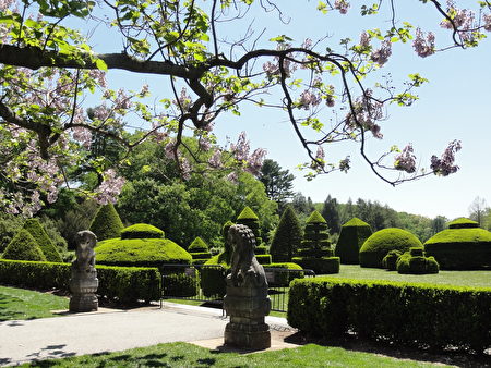 “绿色雕塑花园 (Topiary Garden)”的春天（司瑞/大纪元）