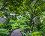 探訪紐約西村秘密花園——傑斐遜市場花園