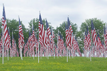 “阵亡将士纪念日”周末，七百多面星条旗在Bohrer公园迎风而立。（林乐予／大纪元）