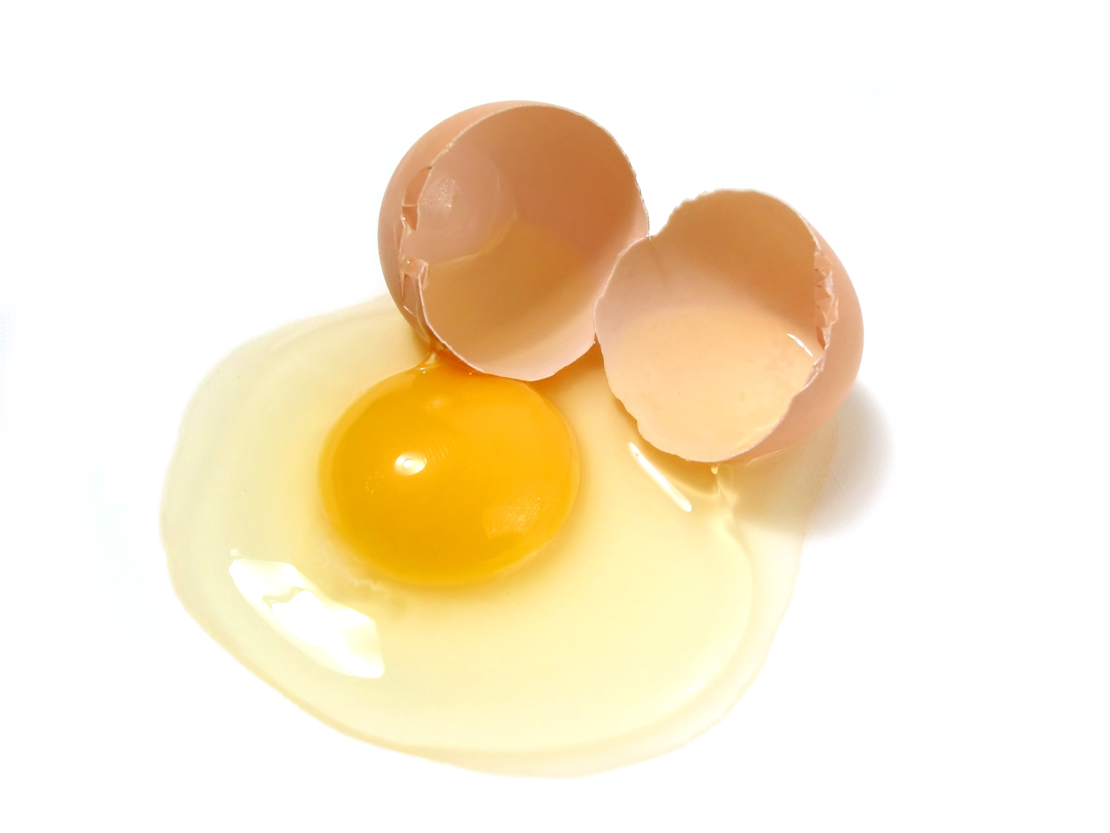 Куриное яйцо без белка. Разбитое яйцо. Желток яйца. Разбитое яйцо на белом фоне. Белок яйца.