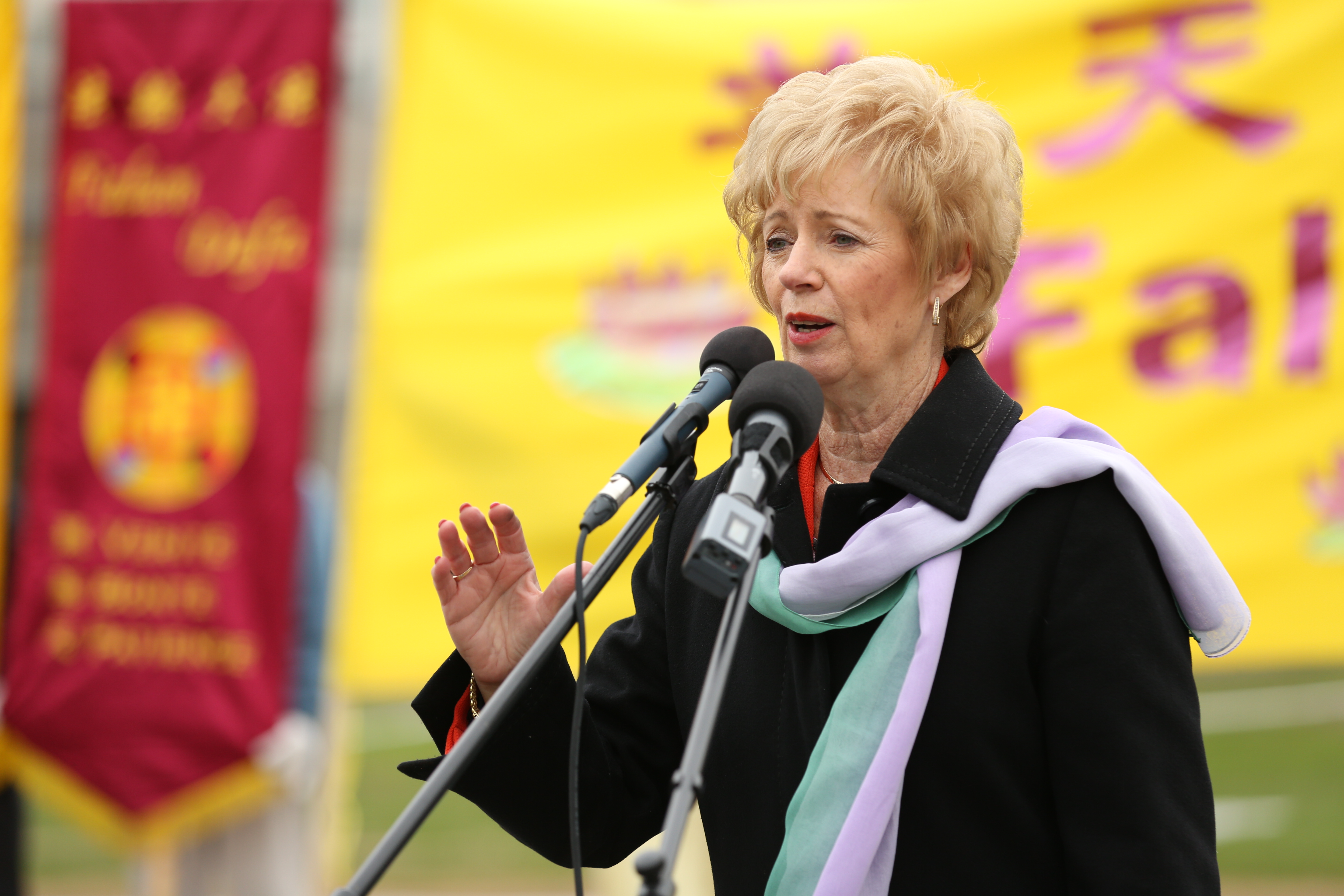 自由黨資深國會議員Judy Sgro女士在發言中稱,法輪大法教導加拿大人如何變得健康。(艾文/大紀元)
