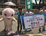 渔获枯竭 台环团吁成立海委会或海洋部