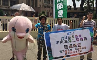 在底拖网与流刺网渔业行为及填海造陆等影响下，台湾特有种台湾白海豚数目剩不到75只，已属极度濒危。（徐翠玲／大纪元）
