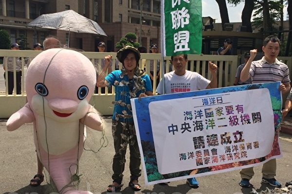 在底拖網與流刺網漁業行為及填海造陸等影響下，台灣特有種台灣白海豚數目剩不到75隻，已屬極度瀕危。（徐翠玲／大紀元）
