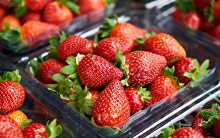 有机草莓和甲肝有关？FDA和加国机构调查