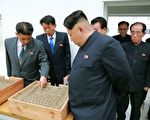 朝鮮新設稅目 中國商人進出特區先付千元