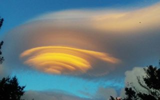 组图：“彩色飞碟云”台警拍到极美照片